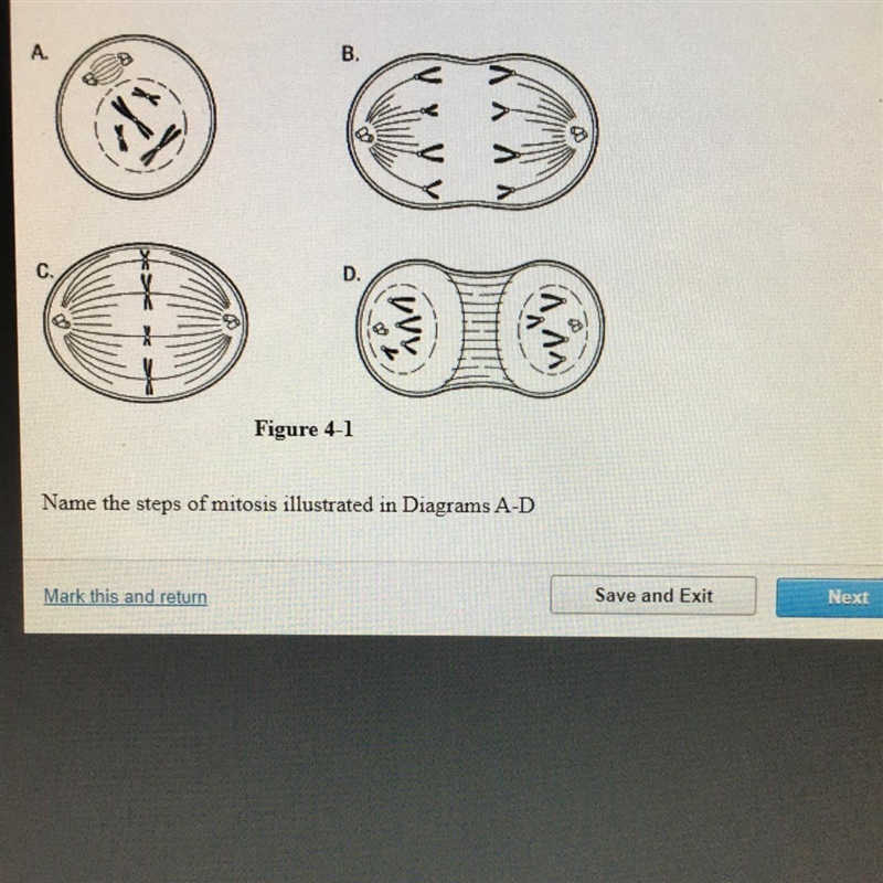 Pls help I’m so confused-example-1