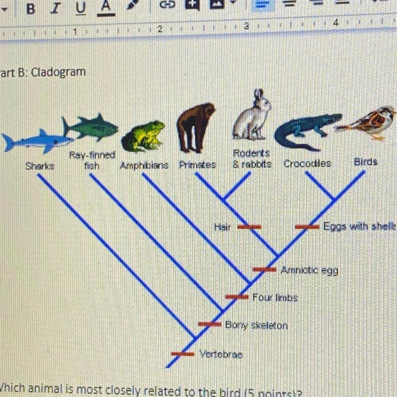 Which animals do not have vertebrae-example-1