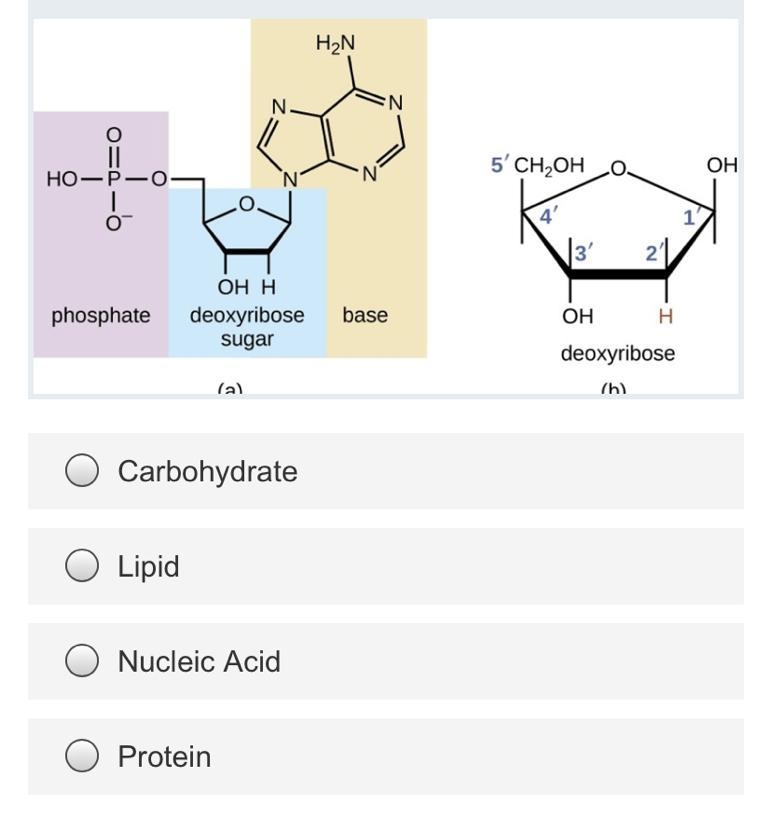 PLZ HELP DUE IN 5 mins Identify the carbon compounds in the picture-example-1