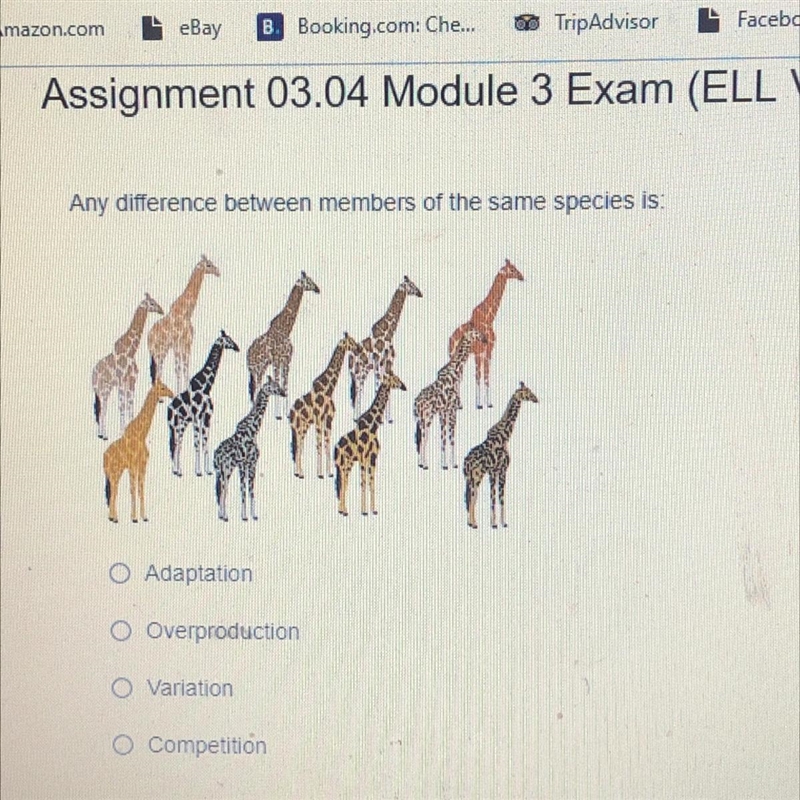 Any difference between members of the same species is: A. Adaptation B. Overproduction-example-1