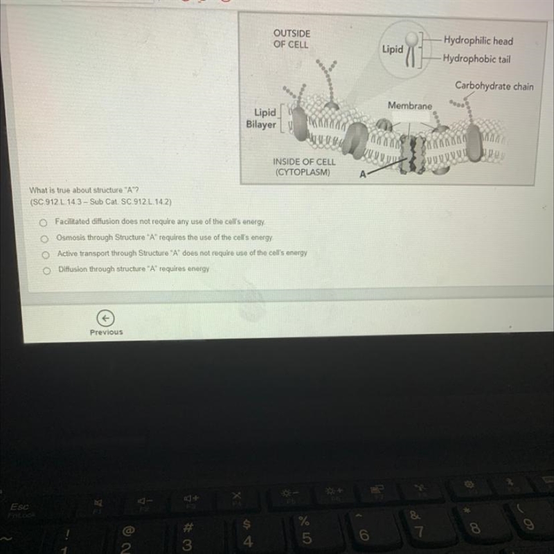 Large molecules enter the cell by endocytosis and exit the cell by exocytosis. Structure-example-1