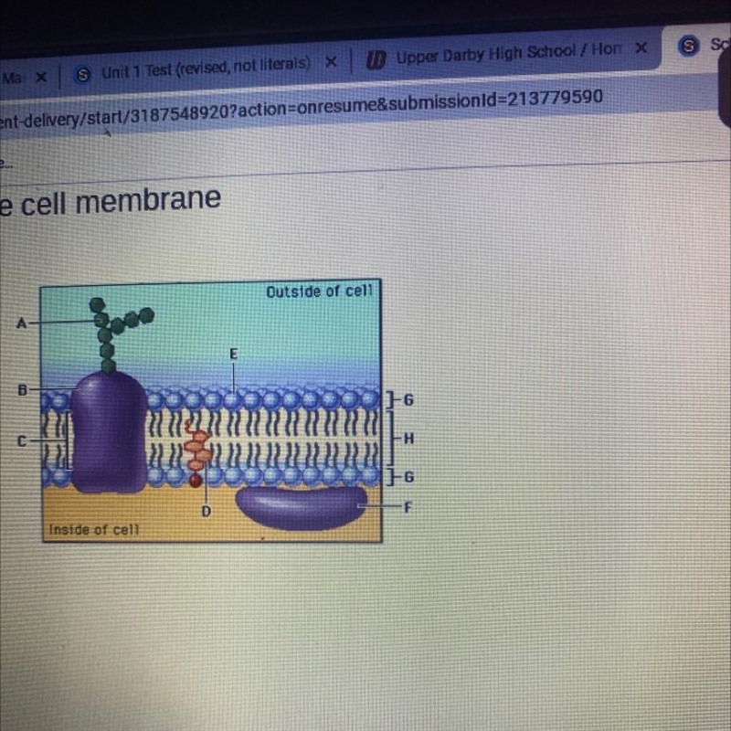 Why are the tais pointing inward in layer H-example-1