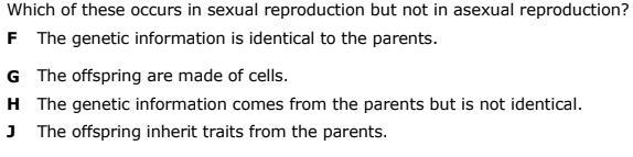 FINAL QUESTION!!! #20-example-1