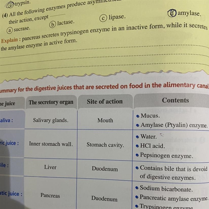 Can anyone answer the one with the explain-example-1