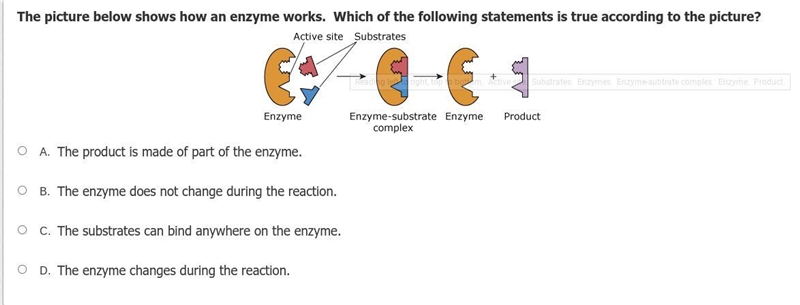 Please help with this!!!-example-1