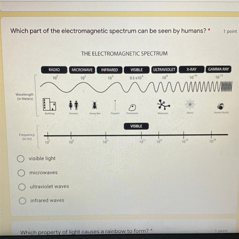 Which part of the electromagnetic spectrum can be seen by humans-example-1