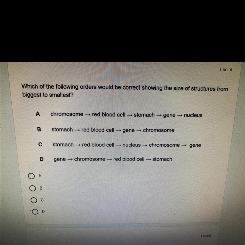 Can anybody answer this I wanna make sure of my answer-example-1