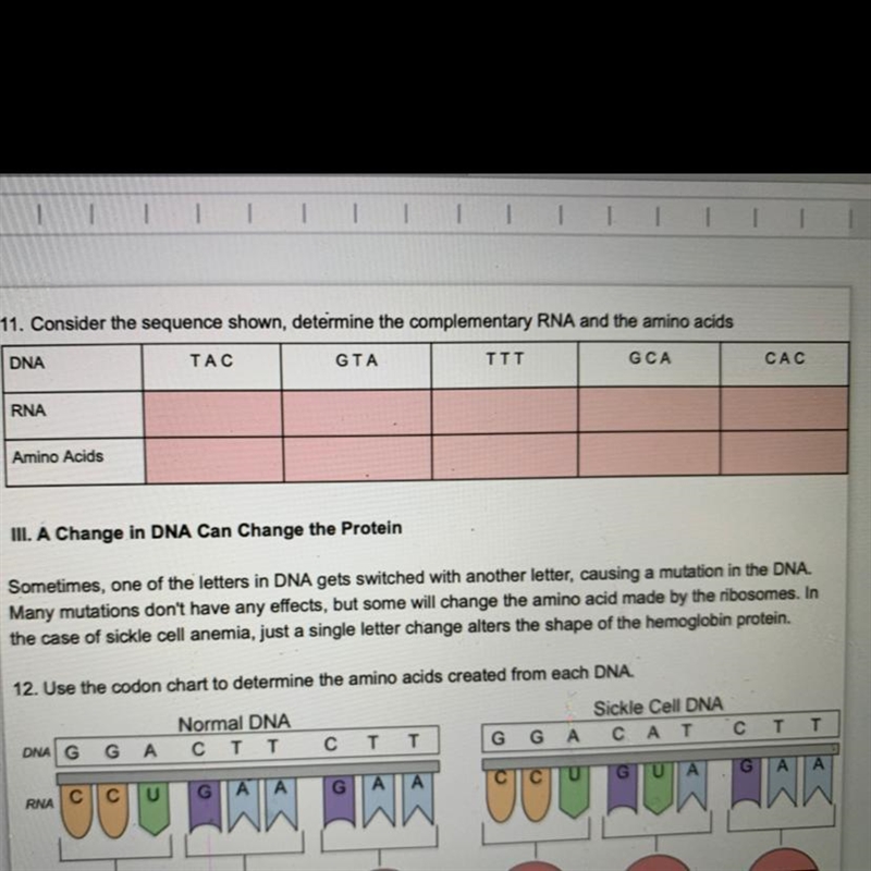 Determine the complementary RNA and the amino acids-example-1