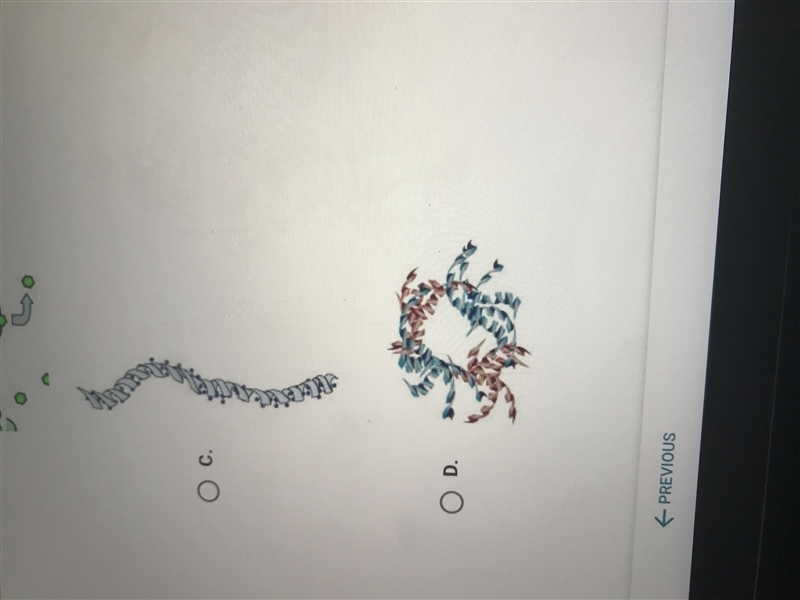 Which of the following proteins could be used to carry materials throughout the body-example-2