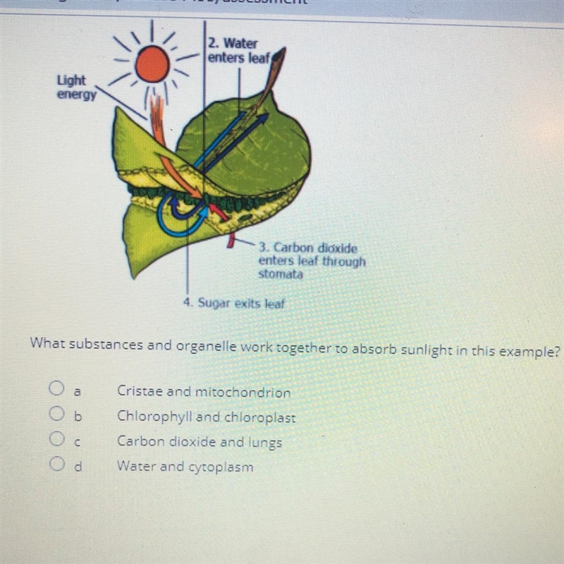 Please help I do not know the answer to the question.-example-1