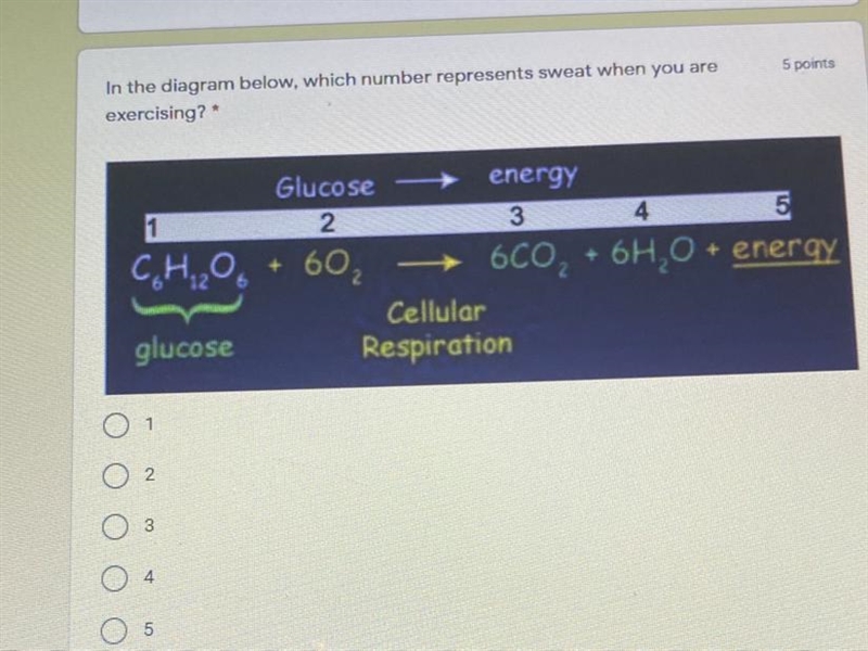 Can someone help me please?-example-1