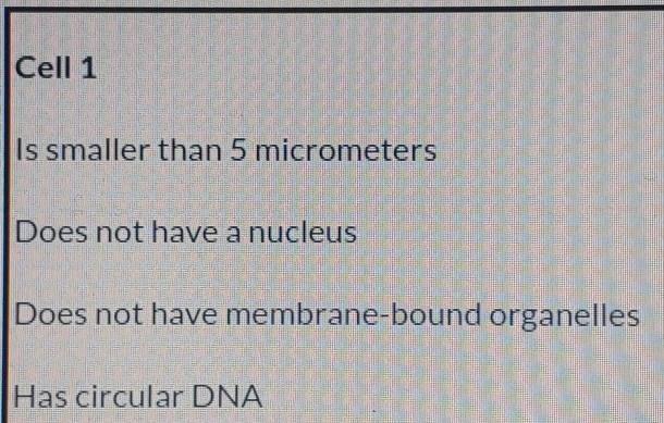 What type of cell is this​-example-1