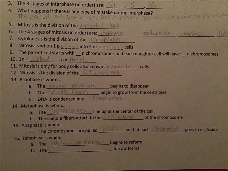 Can someone please help me with numbers 9 and 16?-example-1