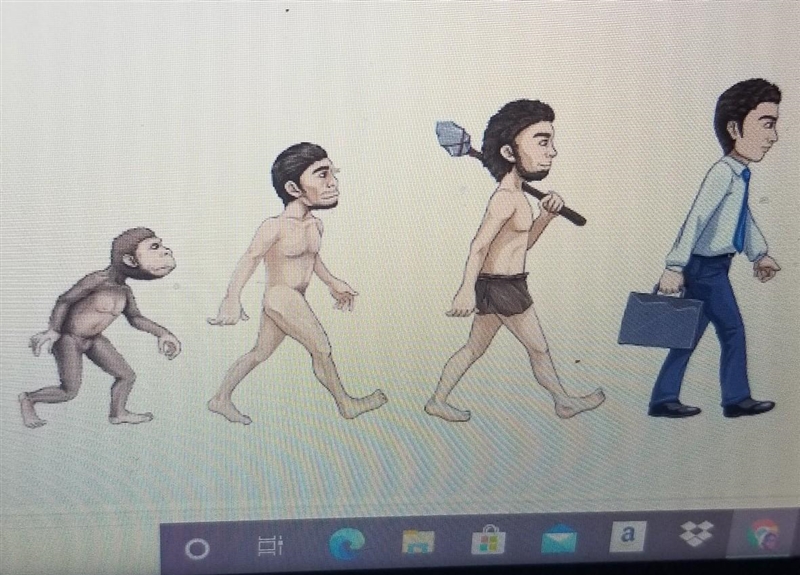 Type your response in the box. A student draws this model to show how humans evolved-example-1