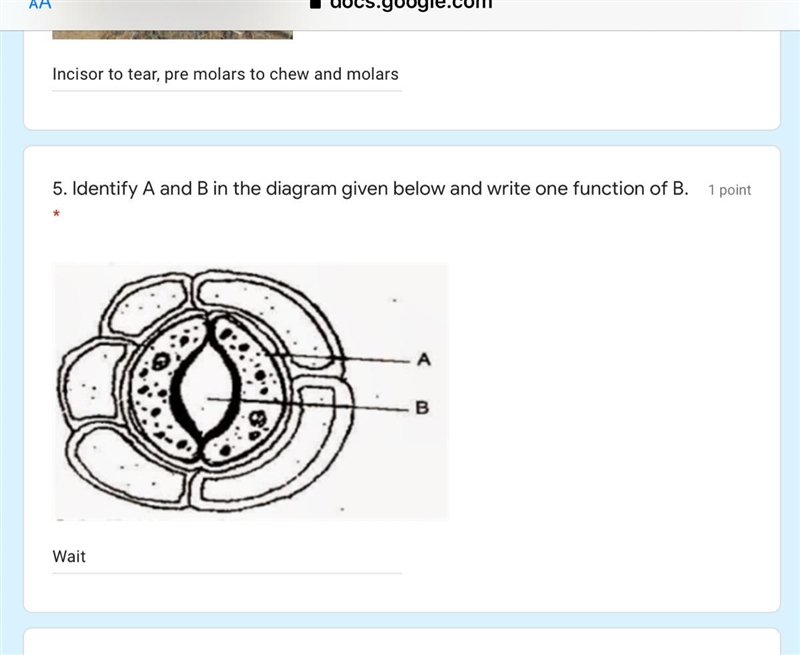 Help URGENT U HAVE EXAMMMMM-example-1