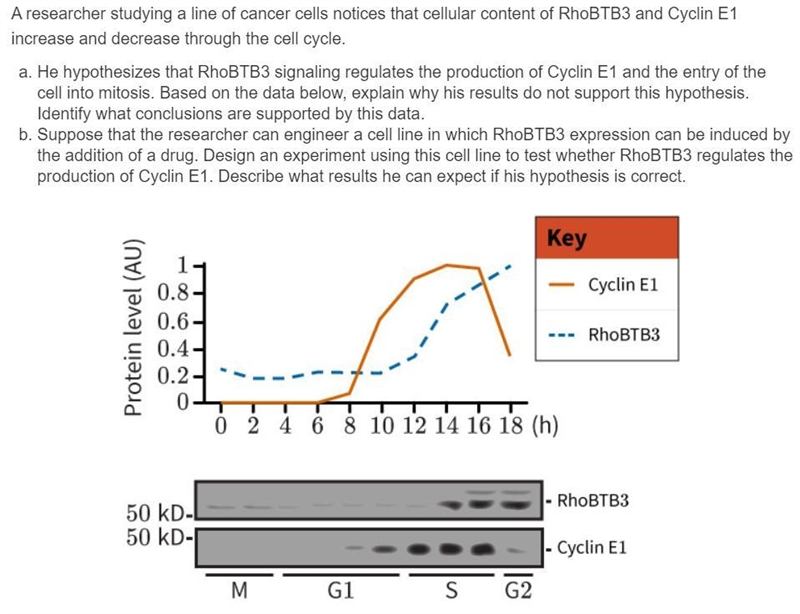 Help with AP Bio please-example-1