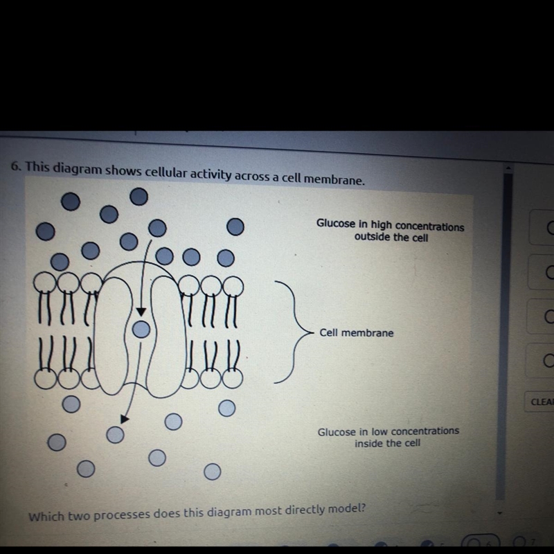 DOES ANYONE KNOW THIS ANSWER PLEASE-example-1