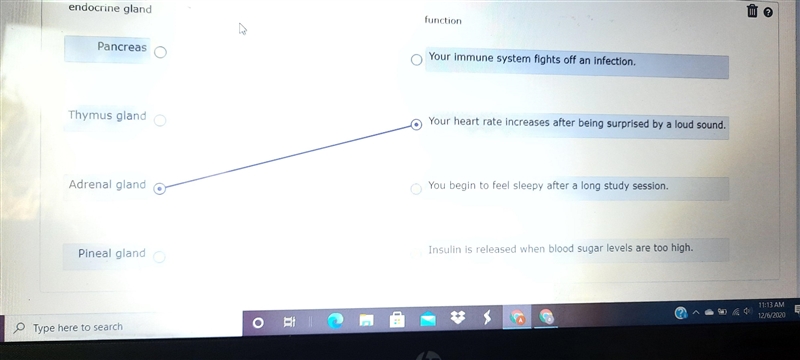 I know adrenal but idk on the rest please help-example-1