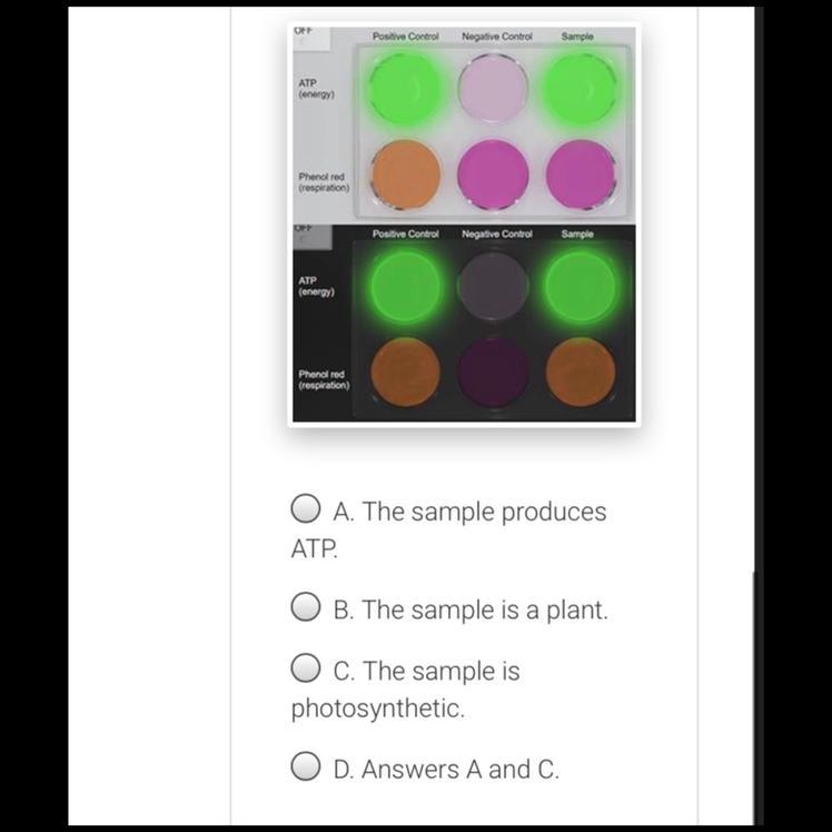 What do the following results from the TEST FOR LIFE tab indicate about the sample-example-1