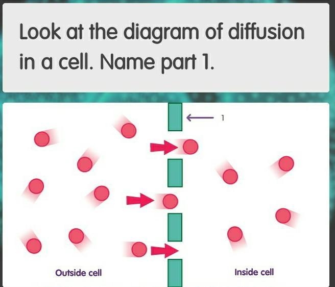 I NEED HELP IM SO CLOSE TO PASSING!​-example-1