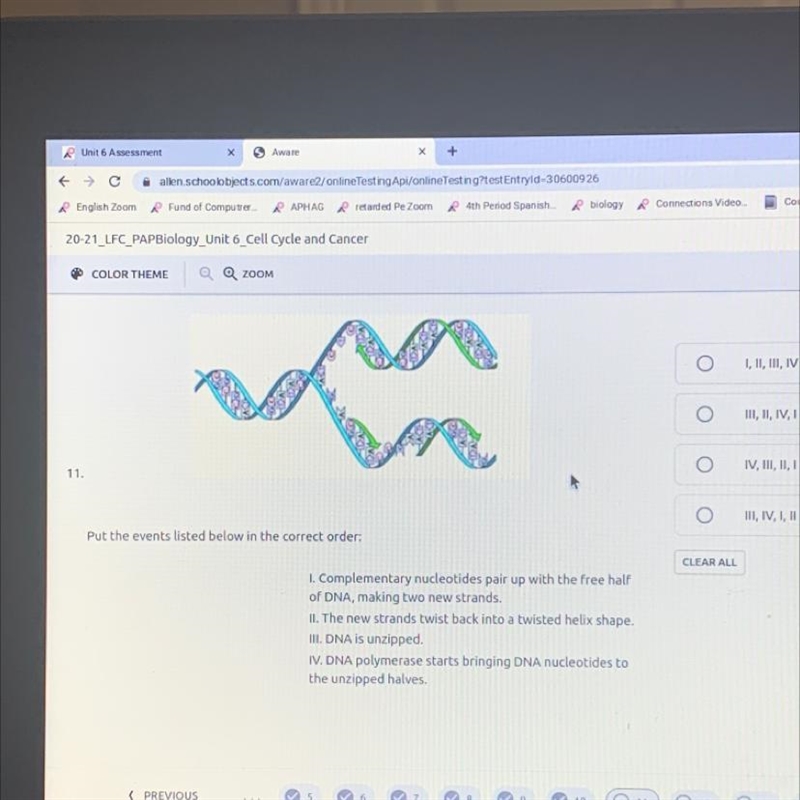 Put the events listed below in the correct order: 1. Complementary nucleotides pair-example-1