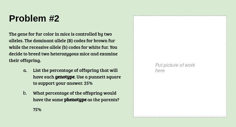 I really need help. I have the beginning of the Punnett square.-example-1