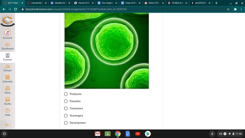 Refer to the illustration below. The photosynthetic algae are: Please anybody!-example-1