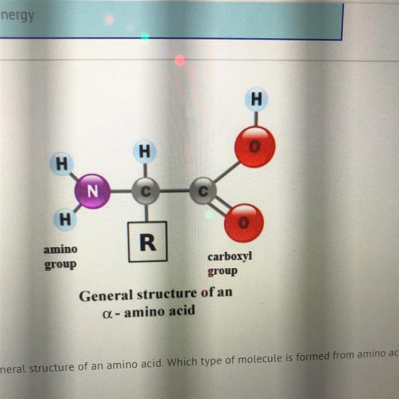 The diagram below shows the qeneral structure of an amino acid. Which type of molecule-example-1