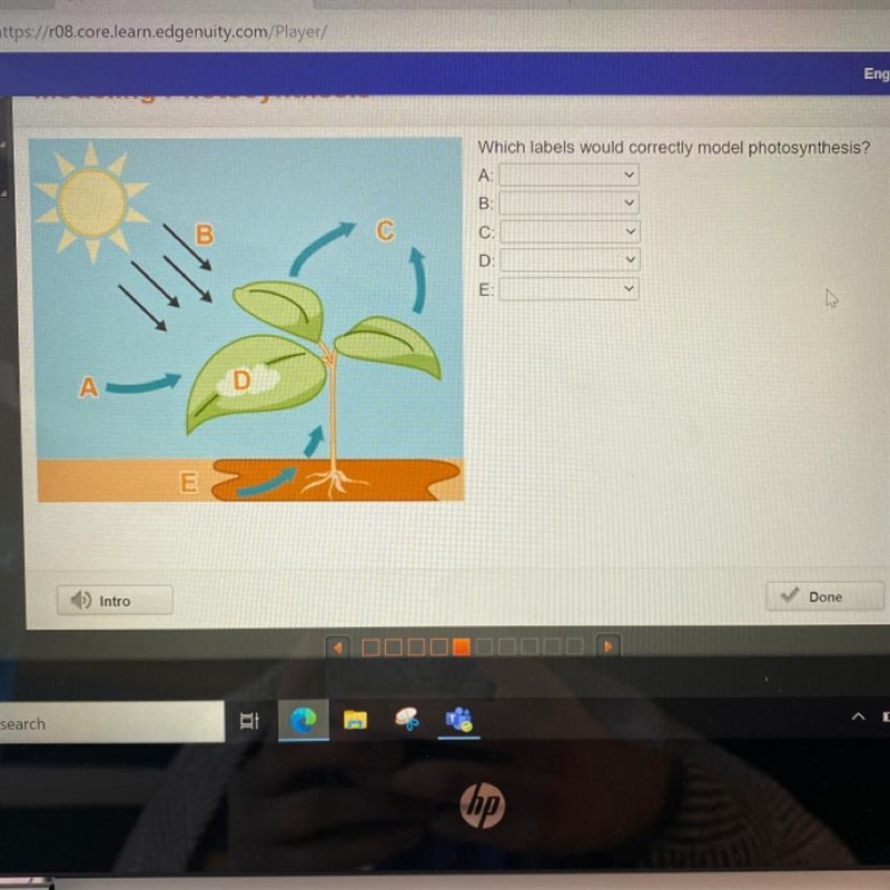 Which labels would correctly model photosynthesis?-example-1