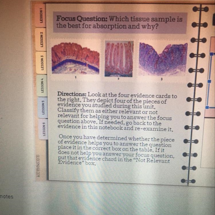 Focus Question: Which tissue sample is the best for absorption and why? please help-example-1