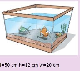 What is the volume of this fish tank?_______ L-example-1