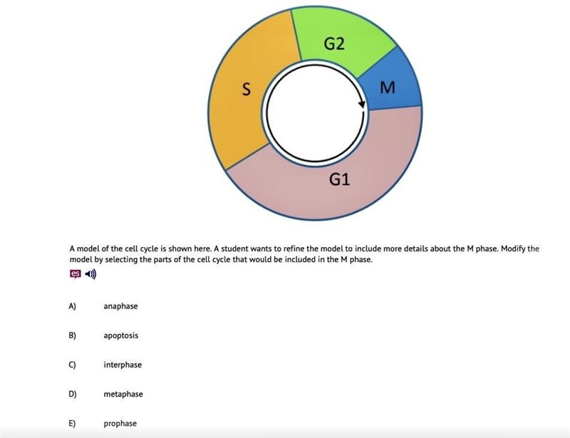 A model of the cell cycle is shown here. A student wants to refine the model to include-example-1