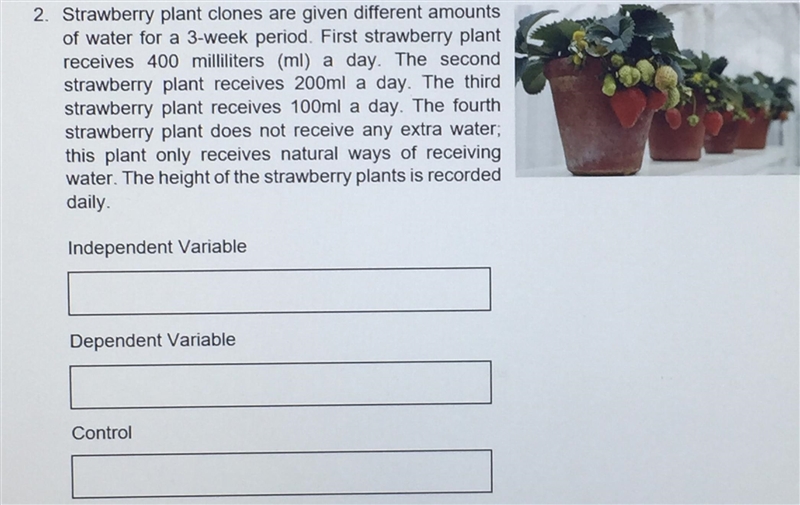 Identify the variable-example-1