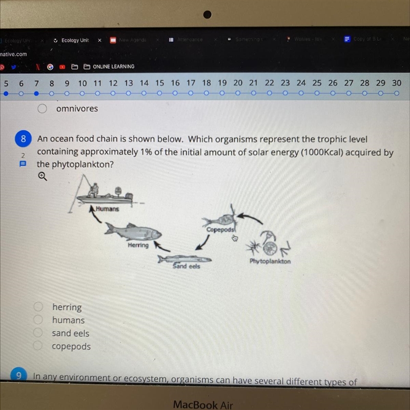 8 An ocean food chain is shown below. Which organisms represent the trophic level-example-1