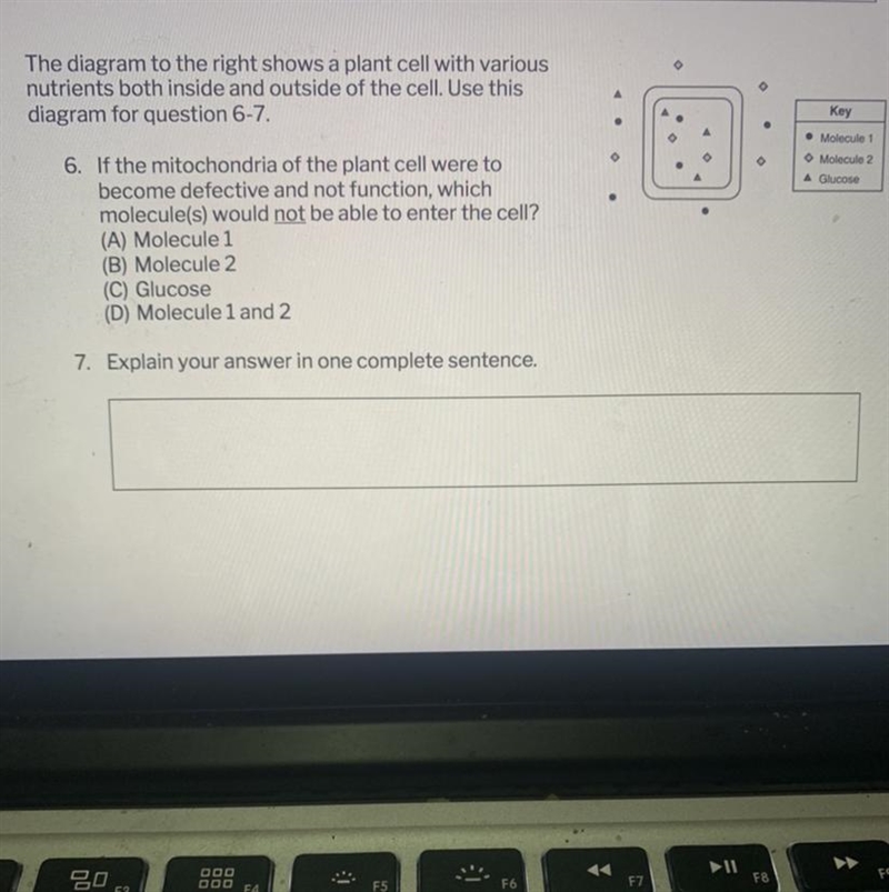 Can anyone help me??-example-1