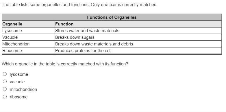 The table list some organells and fuctions. Only one pair is correctly mached is it-example-1