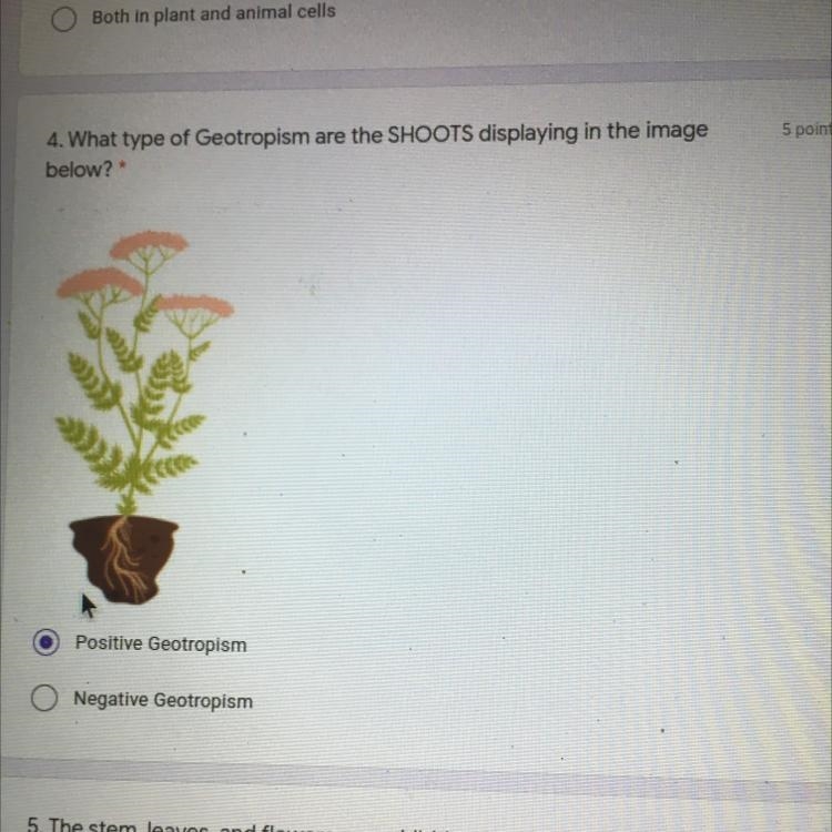 PLEASE HELP ASAP!!! GEOTROPISM-example-1