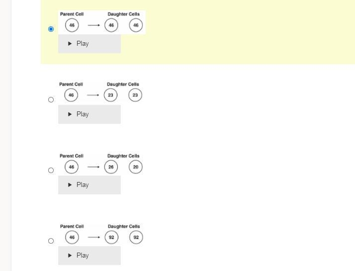 A human body cell has 46 chromosomes. Which diagram represents mitosis in a human-example-1