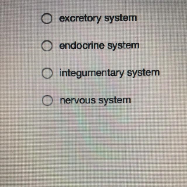 What organ system in the human body contains pituitary gland, hypothalamus gland, and-example-1