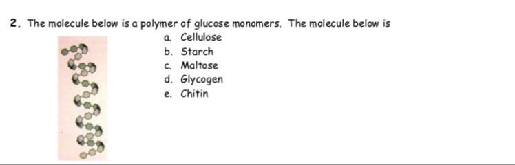 PLEASE HELP ME PLEASE-example-1