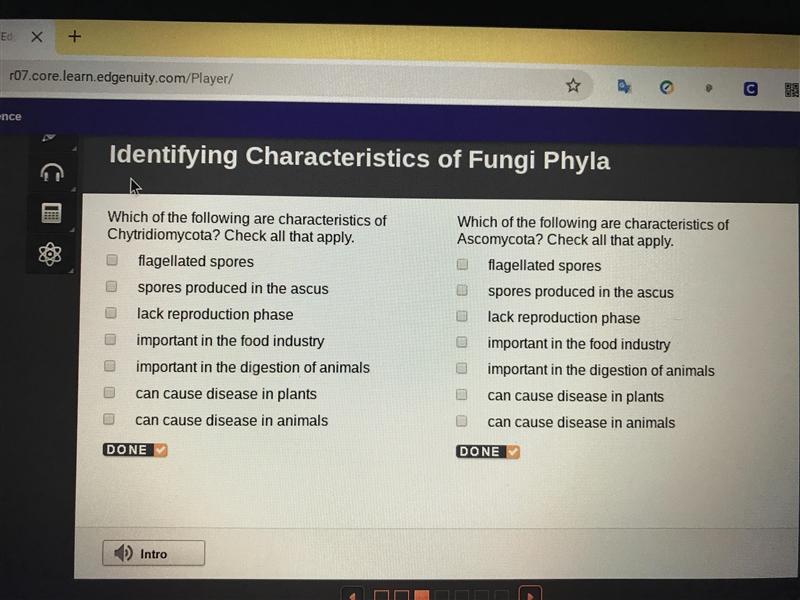 Identify characteristics of fungi-example-1