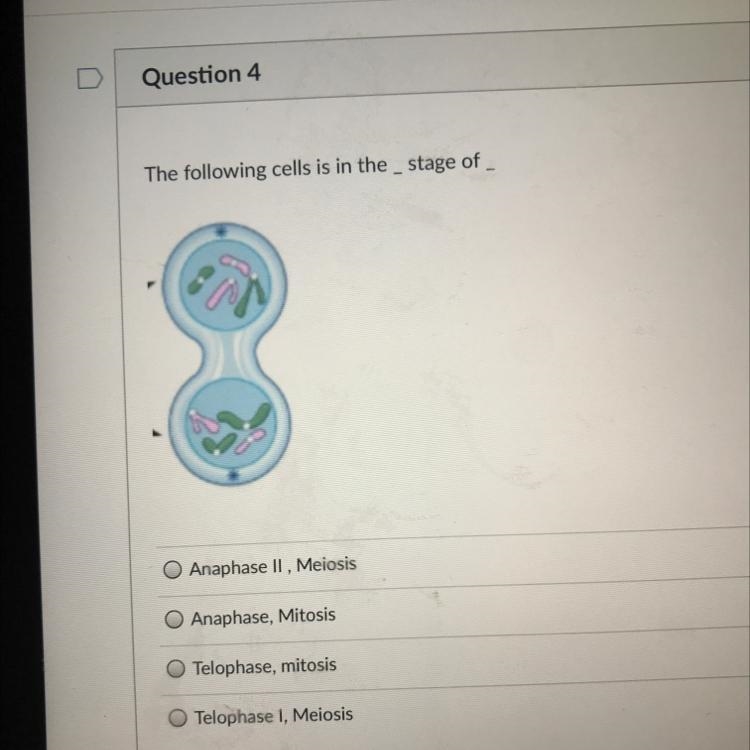 The following cells is the ___ stage of ___-example-1