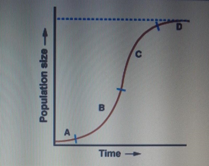 At which point in the graph has the population reached carrying capacity? A. Point-example-1