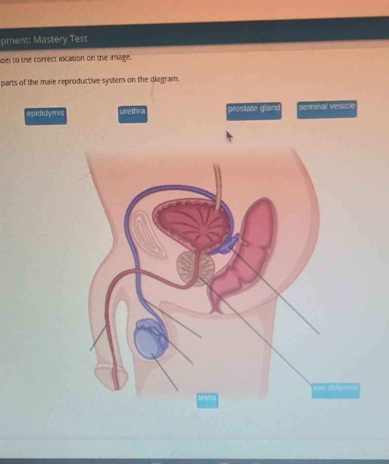 Please help me identify which part goes where so I dont gotta keep staring at this-example-1