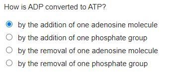 Need a answer really fast in 10 minutes-example-1