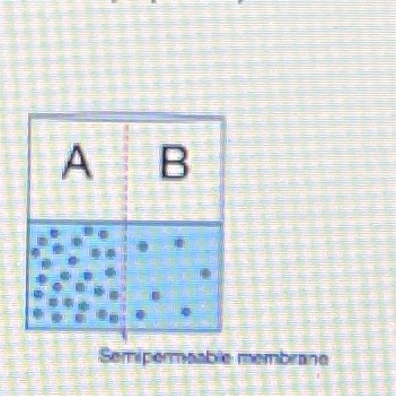 Which of the following will occur? Water will move from side A to side B. The solute-example-1