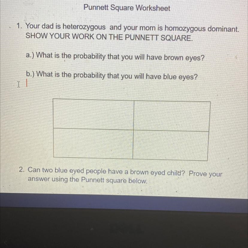 Hi i need help with this Punnet square table , please help if you can!!!-example-1