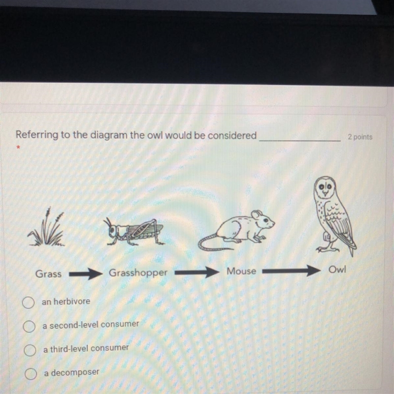 Referring to the diagram the owl would be considered an herbivore a second-level consumer-example-1