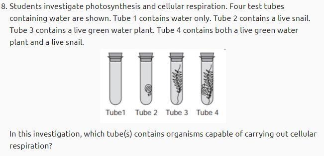 A) Tubes 1 and 2 B) Tube 2 only C) Tube 3 only D) Tubes 2,3,4 help asap pls-example-1