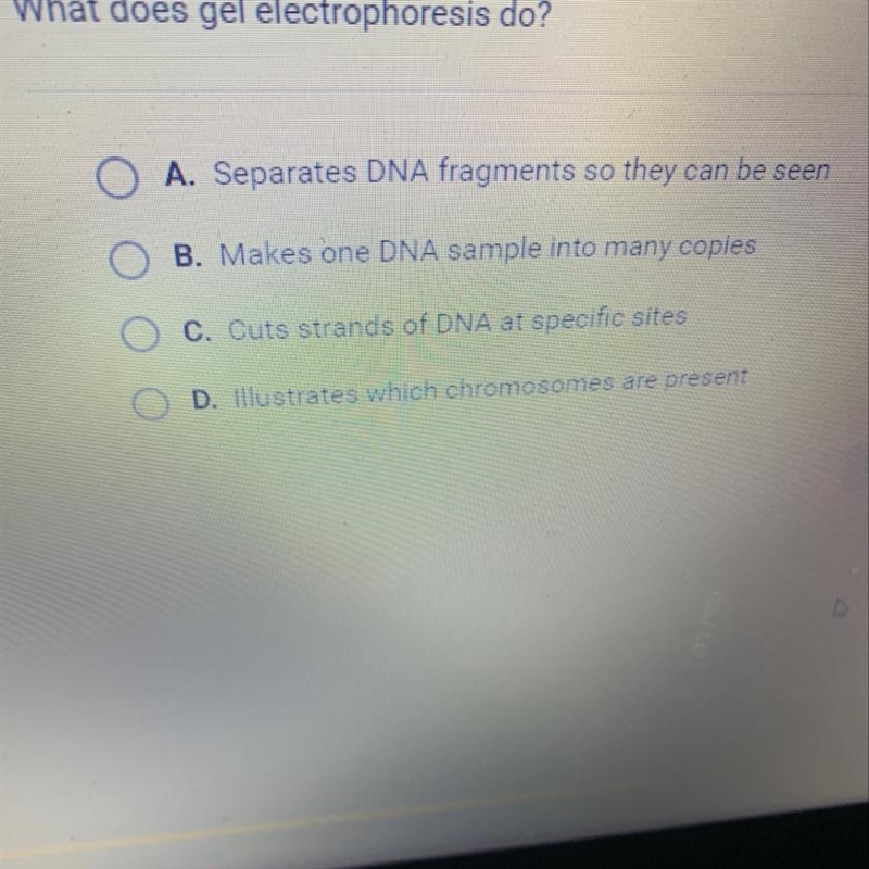 What does gel electrophoresis do?-example-1